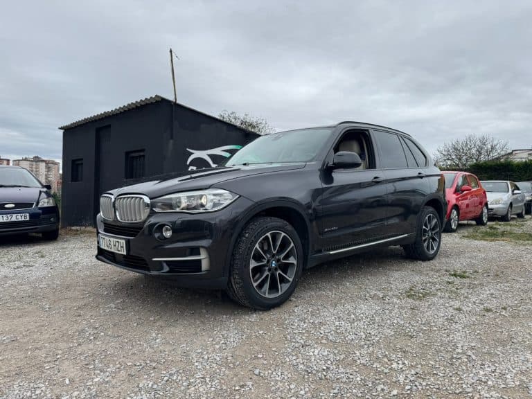 BMW X5 XDRIVE 40D 306CV - Imagen 1